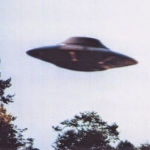 Meet your Posher, Bridget